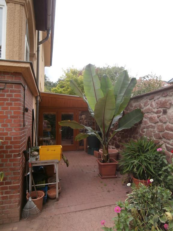 Ferienwohnung Saaleblick Halle  外观 照片
